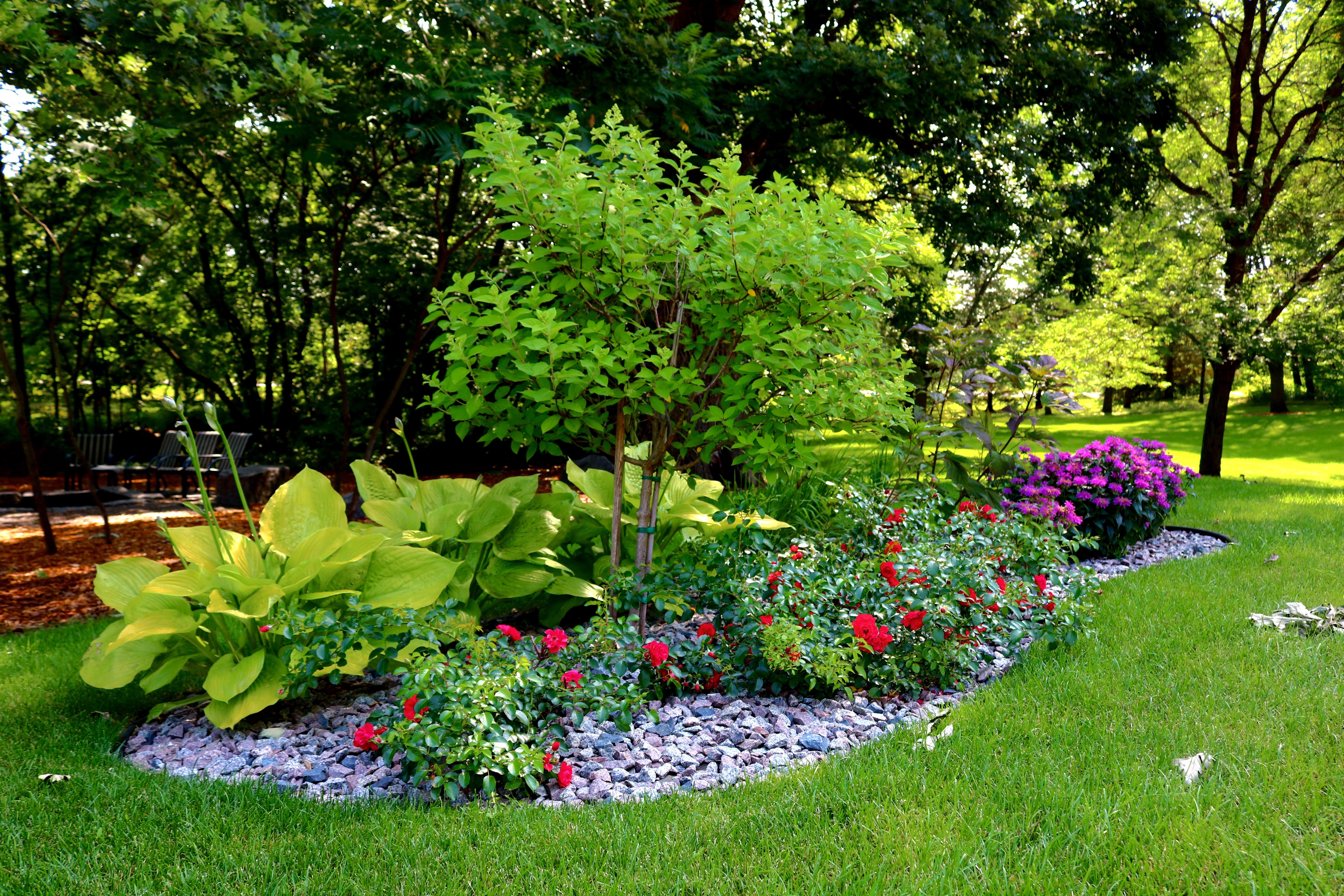 Landscaping and Gardens